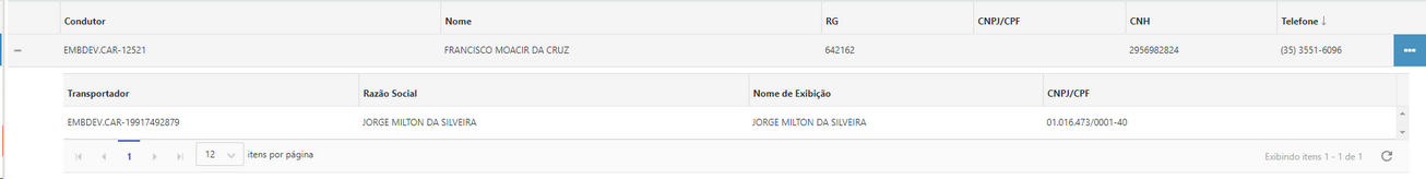 detalhes_transportador_condutor_zoom70