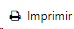 imprimir_icone